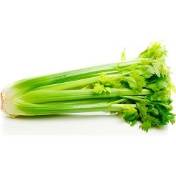 Celery
