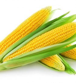 Corn